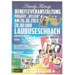 11-10-2013 - fb - plakat sandy_koenig benefiz.png